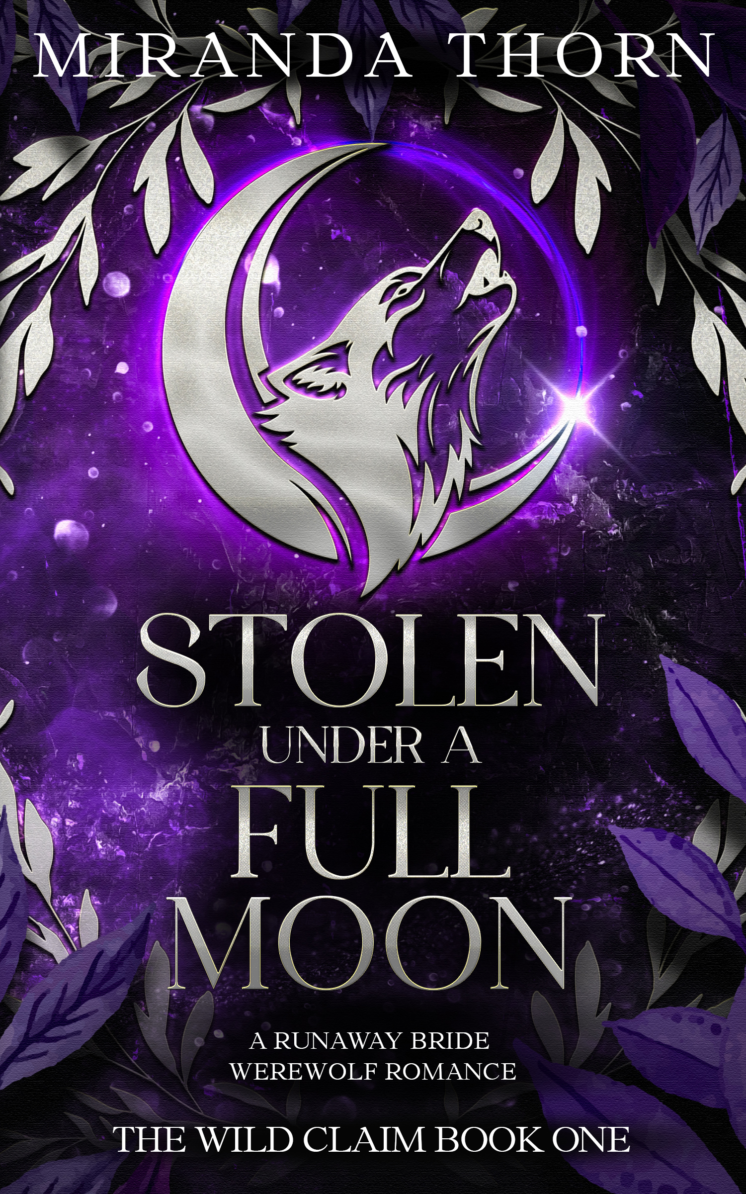 Stolen Under a Full Moon book cover